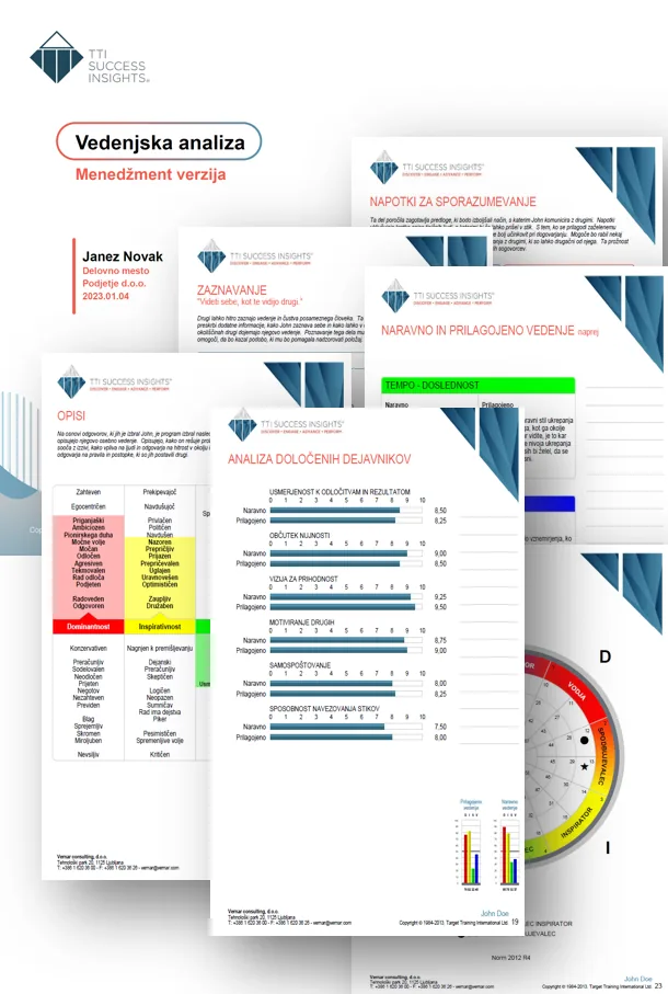 Primer individualnega TTI Success Insights® DISC poročila — vedenjska analiza